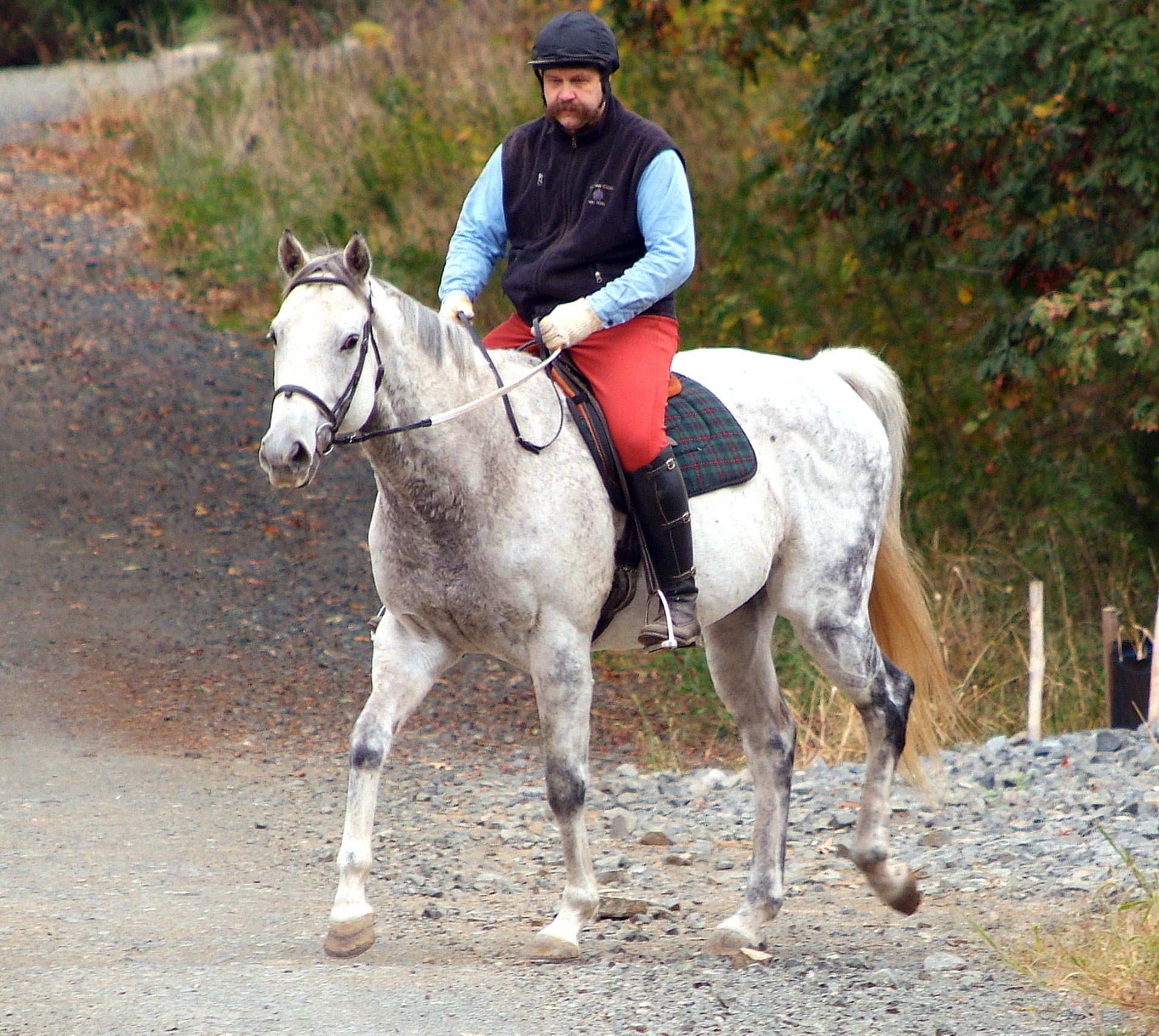 Peter riding a grey horse